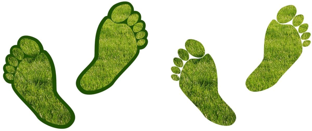 how to reduce carbon footprint