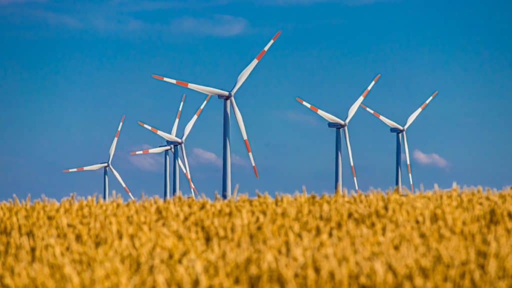 Intriguing Wind Energy Facts What are they?