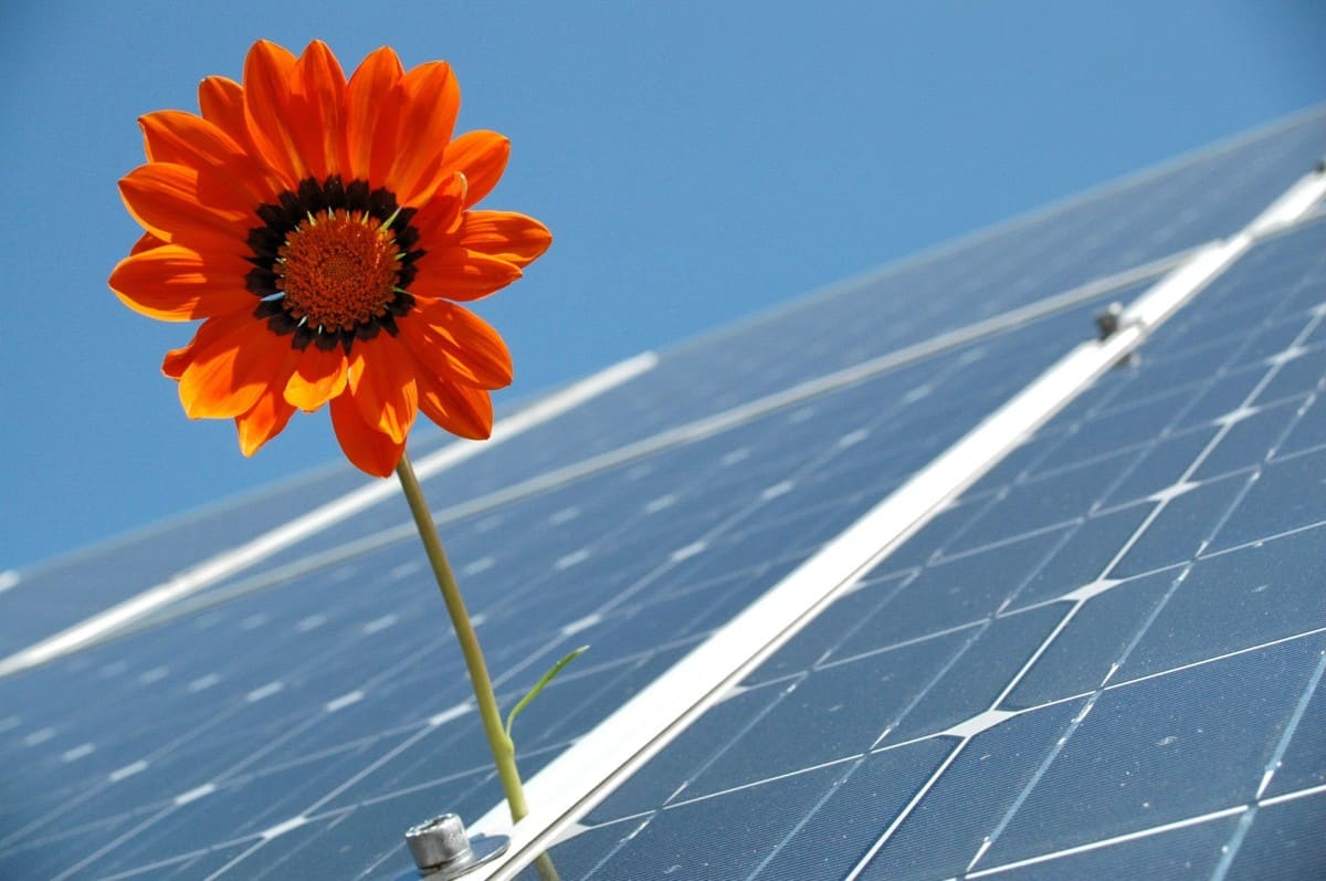 pros and cons of solar energy
