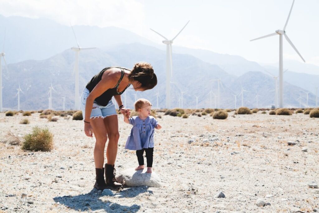 Wind Energy's Visual and Environmental Impacts